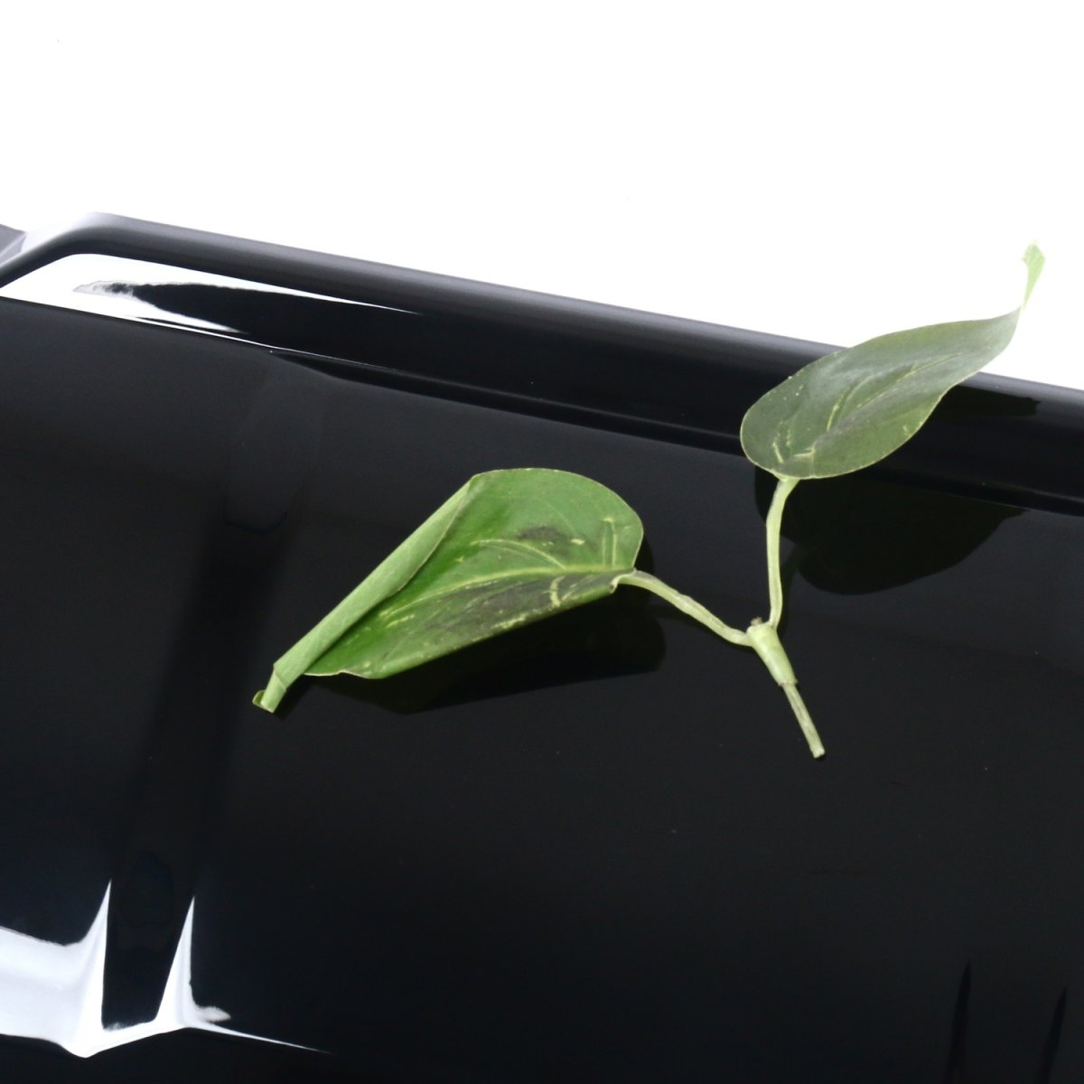 画像14: リアバンパー Bottom Protector グロスブラック (14)