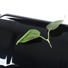 画像14: リアバンパー Bottom Protector グロスブラック (14)