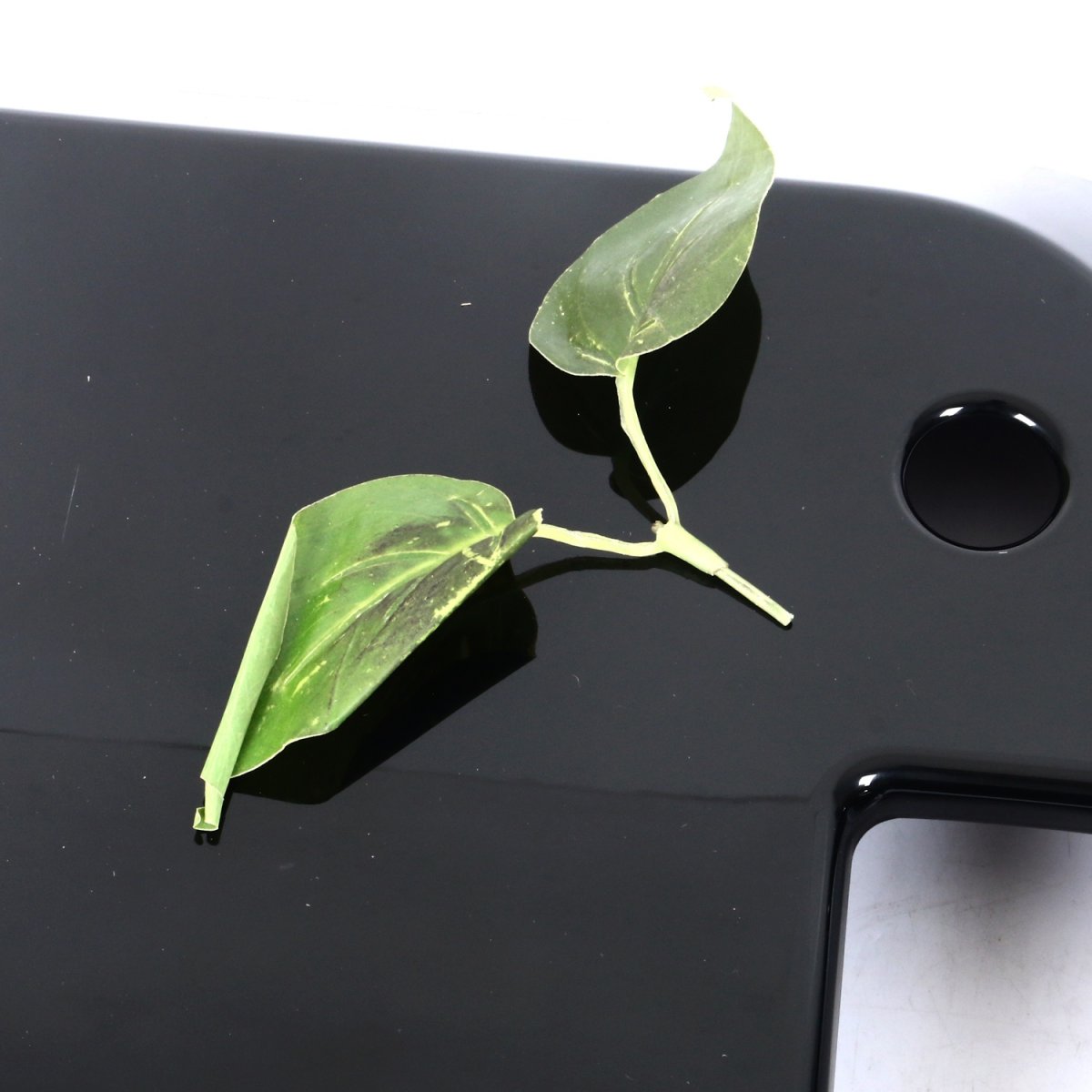 画像6: フォグライトカバー ブラック (6)